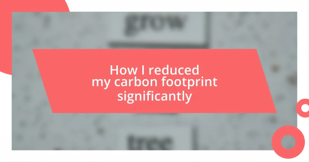 How I reduced my carbon footprint significantly