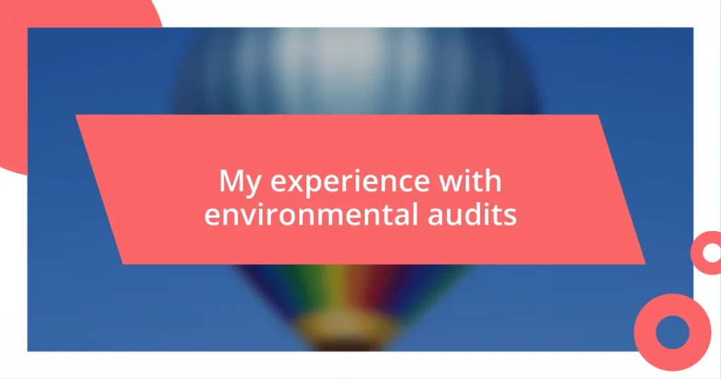 My experience with environmental audits