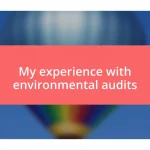 My experience with environmental audits