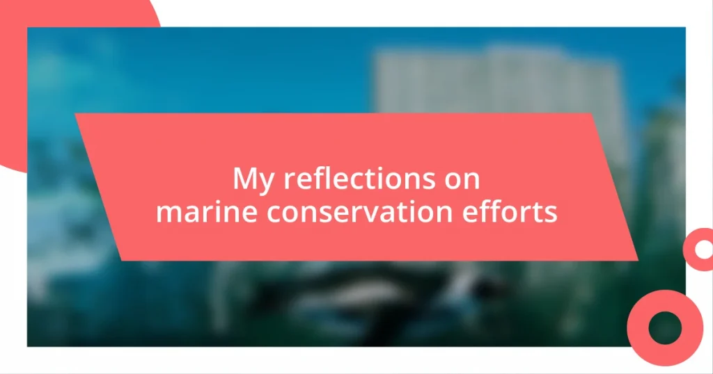 My reflections on marine conservation efforts