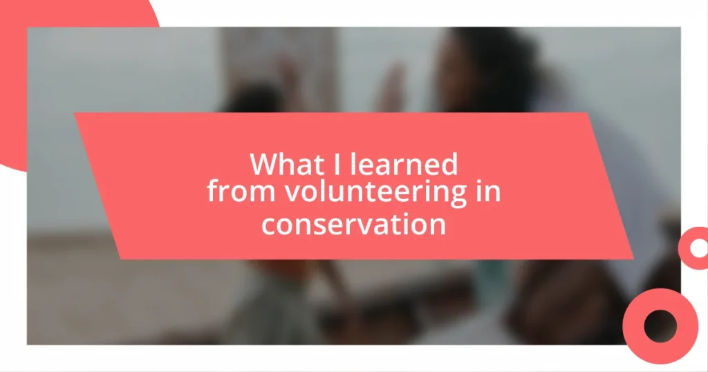 What I learned from volunteering in conservation