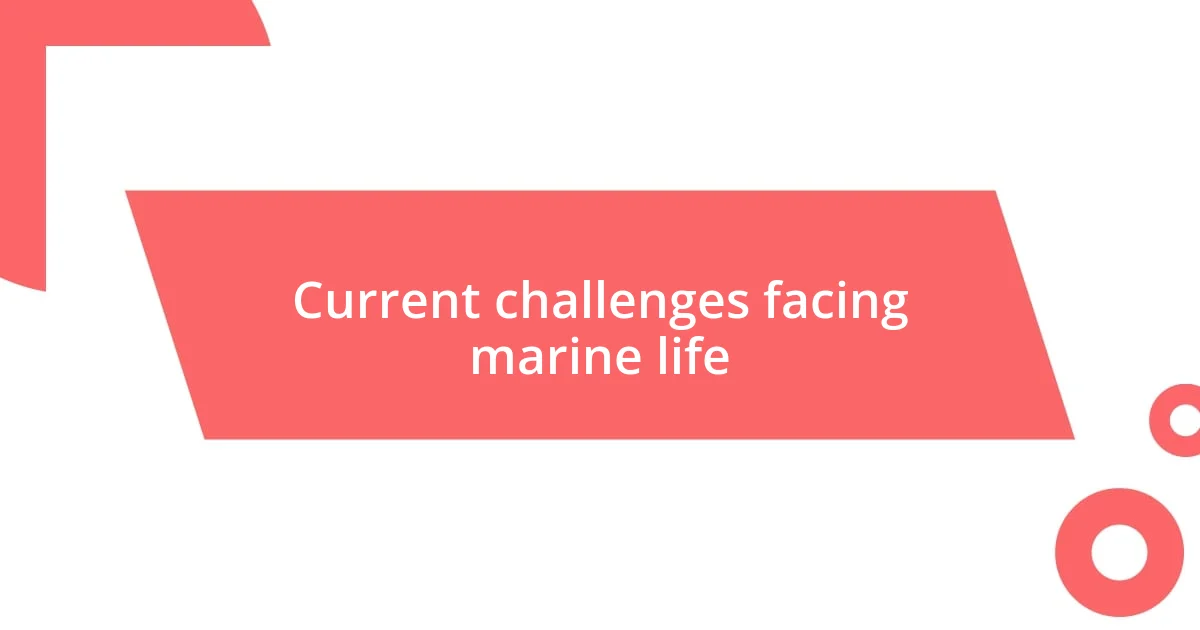 Current challenges facing marine life