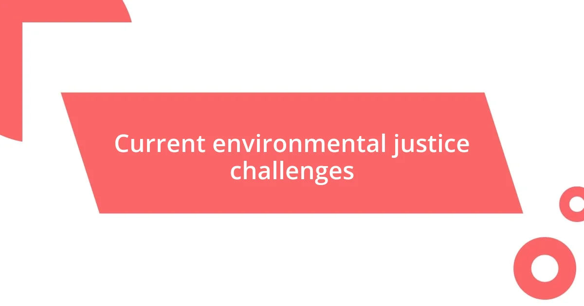 Current environmental justice challenges